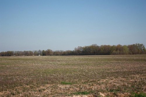 Property photo 16 - 641 Acres Offered in 16 Tracts - 545 Cropland Acres